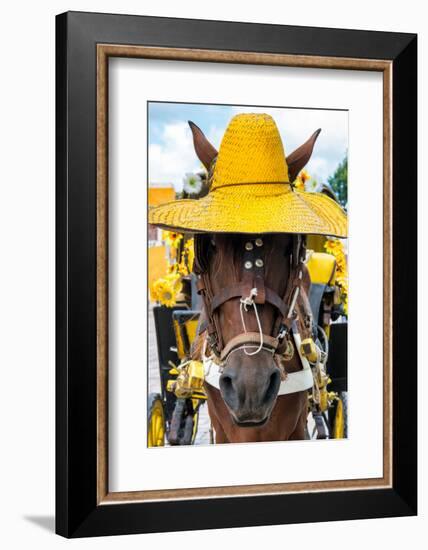 ¡Viva Mexico! Collection - Horse with a straw Hat II - Izamal Yellow City-Philippe Hugonnard-Framed Photographic Print