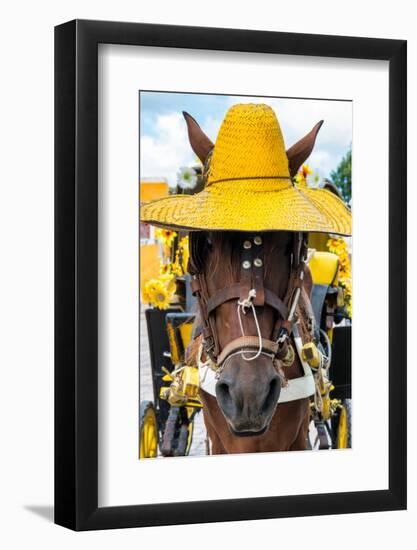 ¡Viva Mexico! Collection - Horse with a straw Hat II - Izamal Yellow City-Philippe Hugonnard-Framed Photographic Print