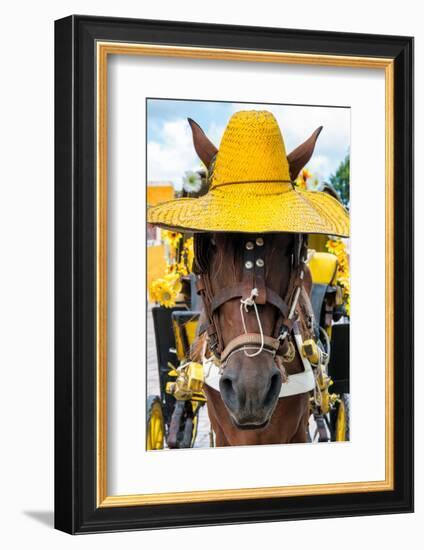 ¡Viva Mexico! Collection - Horse with a straw Hat II - Izamal Yellow City-Philippe Hugonnard-Framed Photographic Print