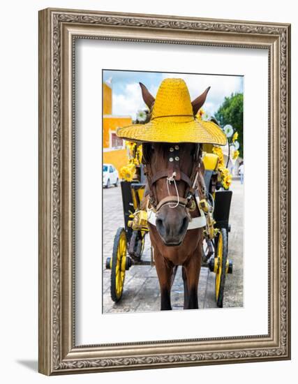 ¡Viva Mexico! Collection - Horse with a straw Hat - Izamal Yellow City-Philippe Hugonnard-Framed Photographic Print