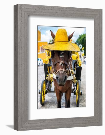 ¡Viva Mexico! Collection - Horse with a straw Hat - Izamal Yellow City-Philippe Hugonnard-Framed Photographic Print