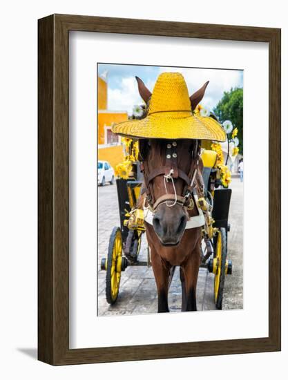 ¡Viva Mexico! Collection - Horse with a straw Hat - Izamal Yellow City-Philippe Hugonnard-Framed Photographic Print