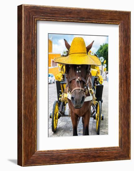 ¡Viva Mexico! Collection - Horse with a straw Hat - Izamal Yellow City-Philippe Hugonnard-Framed Photographic Print