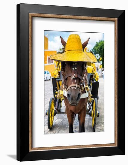 ¡Viva Mexico! Collection - Horse with a straw Hat - Izamal Yellow City-Philippe Hugonnard-Framed Photographic Print