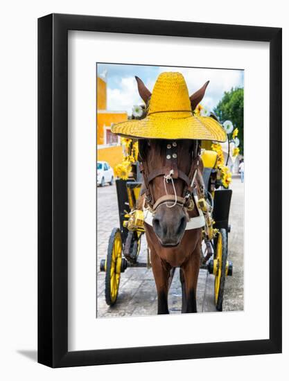 ¡Viva Mexico! Collection - Horse with a straw Hat - Izamal Yellow City-Philippe Hugonnard-Framed Photographic Print