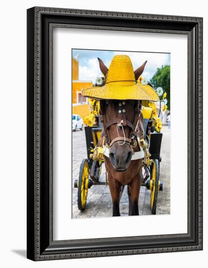 ¡Viva Mexico! Collection - Horse with a straw Hat - Izamal Yellow City-Philippe Hugonnard-Framed Photographic Print