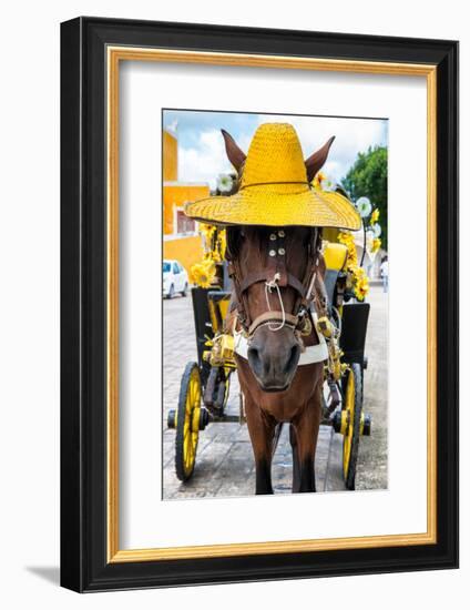 ¡Viva Mexico! Collection - Horse with a straw Hat - Izamal Yellow City-Philippe Hugonnard-Framed Photographic Print