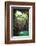 ?Viva Mexico! Collection - Ik-Kil Cenote II-Philippe Hugonnard-Framed Photographic Print