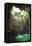 ?Viva Mexico! Collection - Ik-Kil Cenote II-Philippe Hugonnard-Framed Premier Image Canvas
