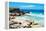 ¡Viva Mexico! Collection - Isla Mujeres Coastline II-Philippe Hugonnard-Framed Premier Image Canvas