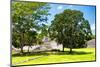 ¡Viva Mexico! Collection - Maya Archaeological Site - Edzna Campeche-Philippe Hugonnard-Mounted Photographic Print