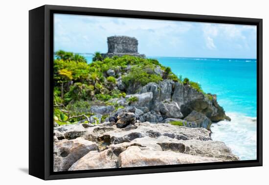 ¡Viva Mexico! Collection - Mayan Archaeological Site with Iguana II - Tulum-Philippe Hugonnard-Framed Premier Image Canvas