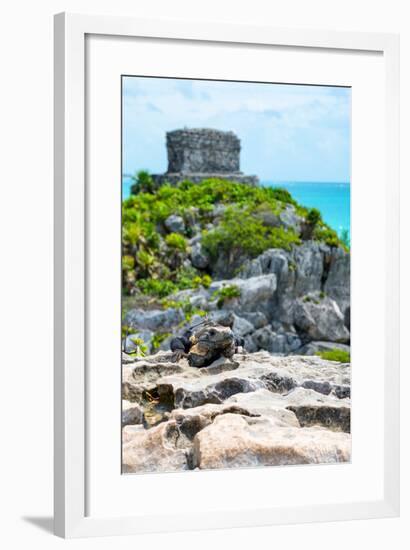 ¡Viva Mexico! Collection - Mayan Archaeological Site with Iguana III - Tulum-Philippe Hugonnard-Framed Photographic Print