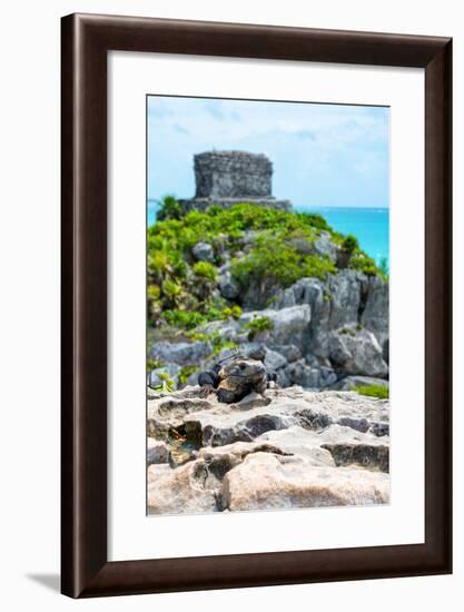 ¡Viva Mexico! Collection - Mayan Archaeological Site with Iguana III - Tulum-Philippe Hugonnard-Framed Photographic Print