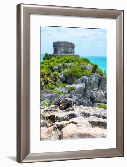 ¡Viva Mexico! Collection - Mayan Archaeological Site with Iguana III - Tulum-Philippe Hugonnard-Framed Photographic Print