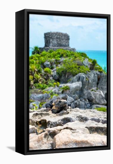 ¡Viva Mexico! Collection - Mayan Archaeological Site with Iguana III - Tulum-Philippe Hugonnard-Framed Premier Image Canvas