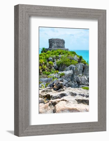 ¡Viva Mexico! Collection - Mayan Archaeological Site with Iguana III - Tulum-Philippe Hugonnard-Framed Photographic Print