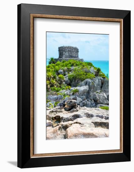 ¡Viva Mexico! Collection - Mayan Archaeological Site with Iguana III - Tulum-Philippe Hugonnard-Framed Photographic Print