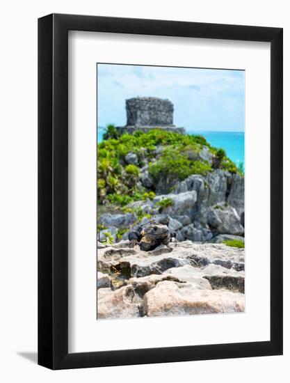 ¡Viva Mexico! Collection - Mayan Archaeological Site with Iguana III - Tulum-Philippe Hugonnard-Framed Photographic Print