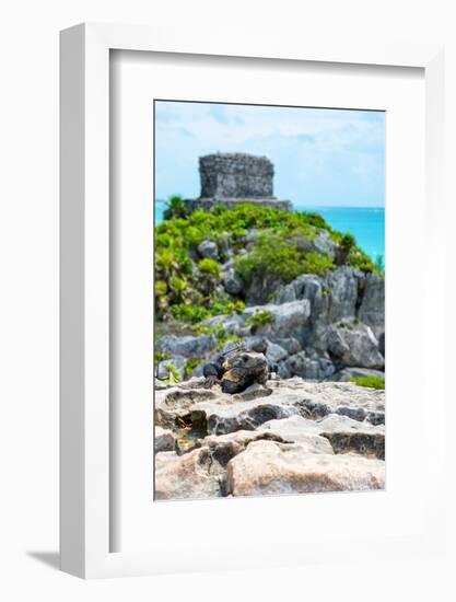¡Viva Mexico! Collection - Mayan Archaeological Site with Iguana III - Tulum-Philippe Hugonnard-Framed Photographic Print
