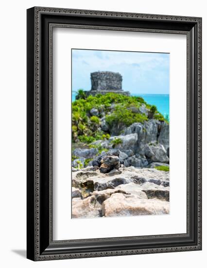 ¡Viva Mexico! Collection - Mayan Archaeological Site with Iguana III - Tulum-Philippe Hugonnard-Framed Photographic Print