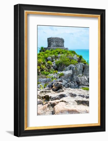 ¡Viva Mexico! Collection - Mayan Archaeological Site with Iguana III - Tulum-Philippe Hugonnard-Framed Photographic Print