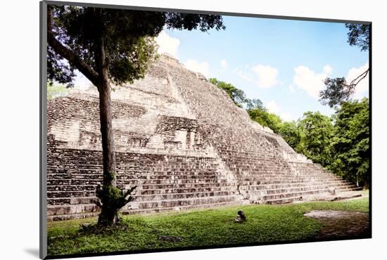 ¡Viva Mexico! Collection - Mayan Pyramid II-Philippe Hugonnard-Mounted Photographic Print