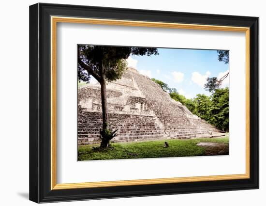 ¡Viva Mexico! Collection - Mayan Pyramid II-Philippe Hugonnard-Framed Photographic Print