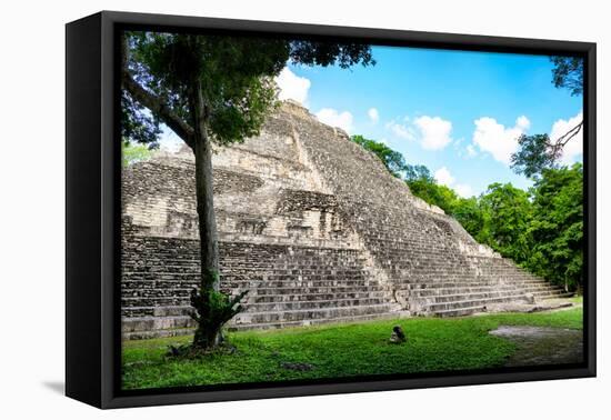 ¡Viva Mexico! Collection - Mayan Pyramid-Philippe Hugonnard-Framed Premier Image Canvas