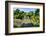 ¡Viva Mexico! Collection - Mayan Ruins in Palenque-Philippe Hugonnard-Framed Photographic Print