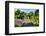 ¡Viva Mexico! Collection - Mayan Ruins in Palenque-Philippe Hugonnard-Framed Photographic Print