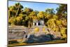 ¡Viva Mexico! Collection - Mayan Ruins with Fall Colors in Palenque-Philippe Hugonnard-Mounted Photographic Print