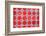 ¡Viva Mexico! Collection - Mosaics Red Bricks-Philippe Hugonnard-Framed Photographic Print