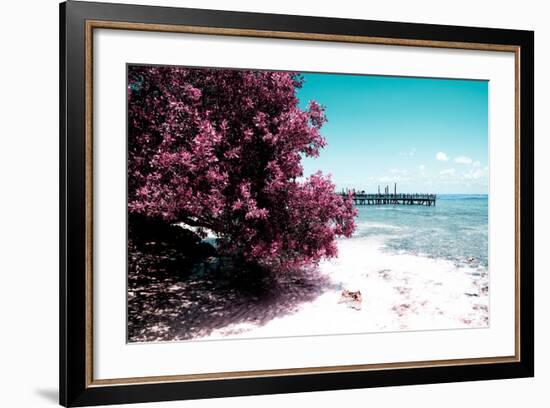 ¡Viva Mexico! Collection - Peaceful Paradise II - Isla Mujeres-Philippe Hugonnard-Framed Photographic Print