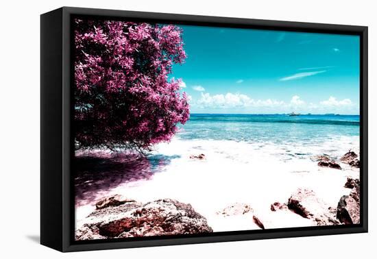 ¡Viva Mexico! Collection - Pink Caribbean Coastline - Isla Mujeres-Philippe Hugonnard-Framed Premier Image Canvas