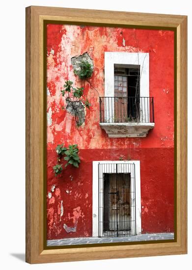 ¡Viva Mexico! Collection - Red Wall-Philippe Hugonnard-Framed Premier Image Canvas