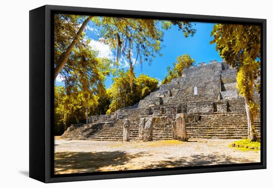 ¡Viva Mexico! Collection - Ruins of the ancient Mayan city with Fall Colors of Calakmul-Philippe Hugonnard-Framed Premier Image Canvas