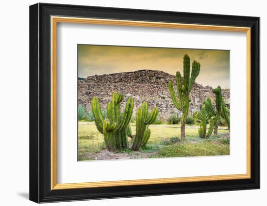 ¡Viva Mexico! Collection - Saguaro Cactus and Mexican Ruins at Sunset-Philippe Hugonnard-Framed Photographic Print