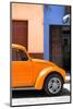 ¡Viva Mexico! Collection - The Orange Beetle-Philippe Hugonnard-Mounted Photographic Print