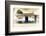 ?Viva Mexico! Collection - Traditional Store-Philippe Hugonnard-Framed Photographic Print