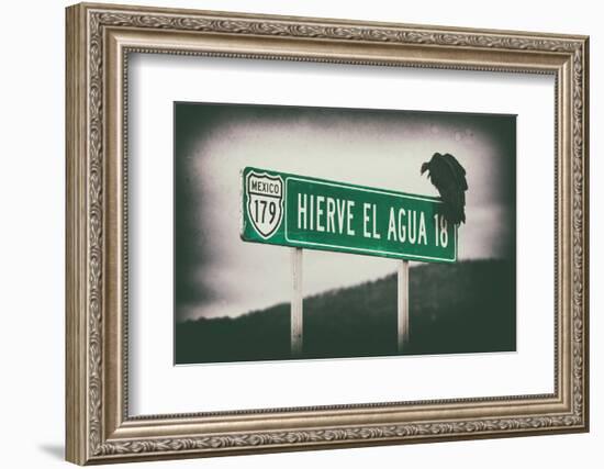 ¡Viva Mexico! Collection - Vulture II-Philippe Hugonnard-Framed Photographic Print