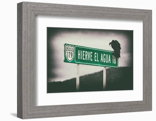 ¡Viva Mexico! Collection - Vulture II-Philippe Hugonnard-Framed Photographic Print