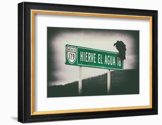 ¡Viva Mexico! Collection - Vulture II-Philippe Hugonnard-Framed Photographic Print