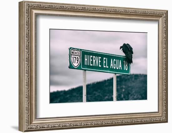 ¡Viva Mexico! Collection - Vulture-Philippe Hugonnard-Framed Photographic Print