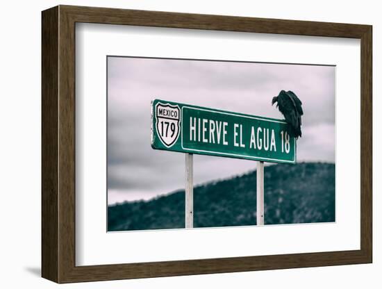 ¡Viva Mexico! Collection - Vulture-Philippe Hugonnard-Framed Photographic Print