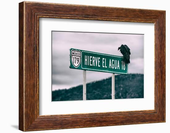 ¡Viva Mexico! Collection - Vulture-Philippe Hugonnard-Framed Photographic Print