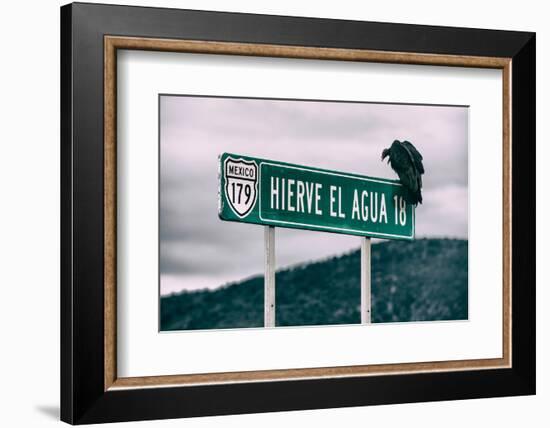 ¡Viva Mexico! Collection - Vulture-Philippe Hugonnard-Framed Photographic Print