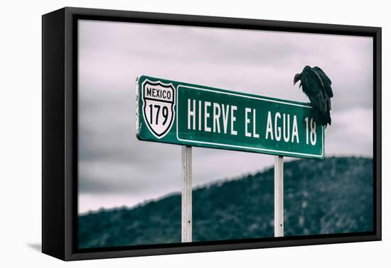 ¡Viva Mexico! Collection - Vulture-Philippe Hugonnard-Framed Premier Image Canvas