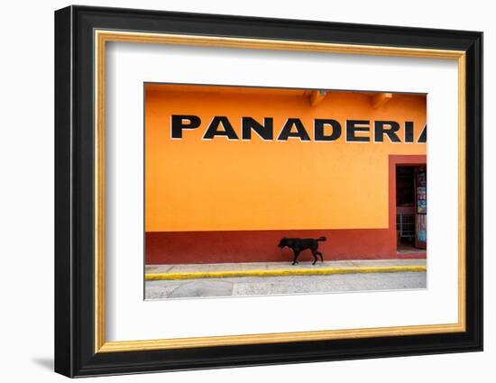 ¡Viva Mexico! Collection - Yellow Line-Philippe Hugonnard-Framed Photographic Print