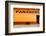 ¡Viva Mexico! Collection - Yellow Line-Philippe Hugonnard-Framed Photographic Print